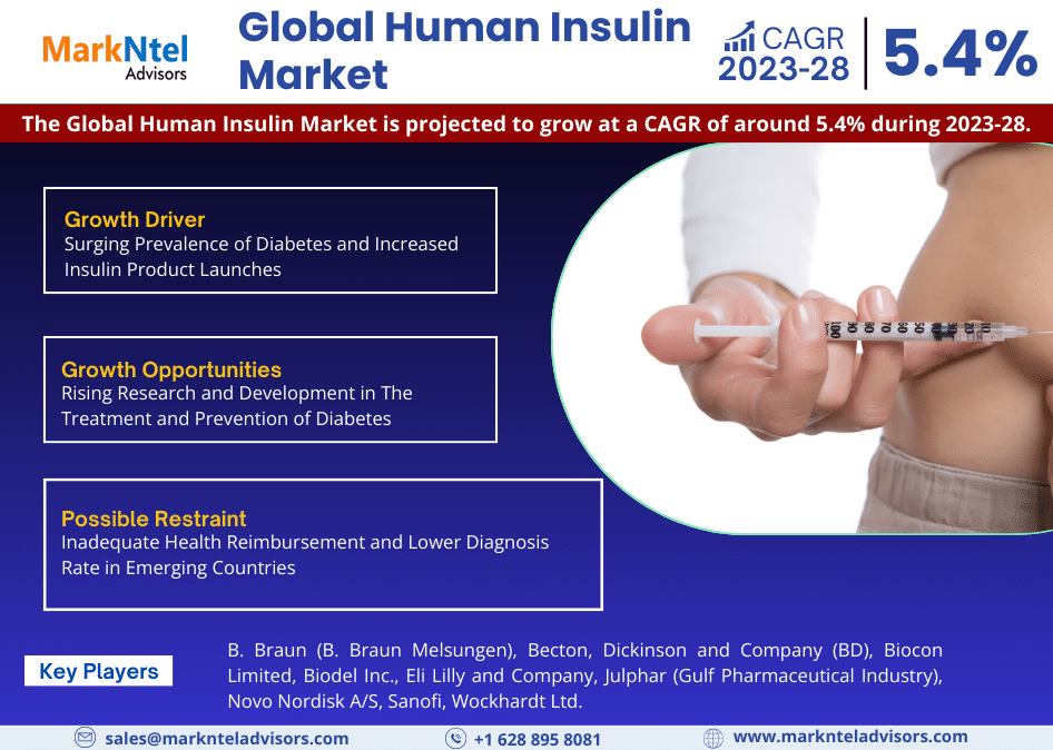 Human Insulin Market