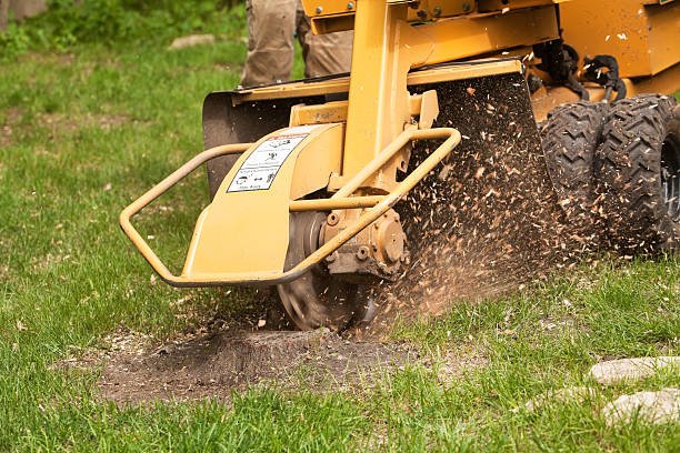 Stump Removal