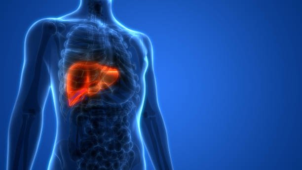 Gallbladder Disease treatment in Abu Dhabi