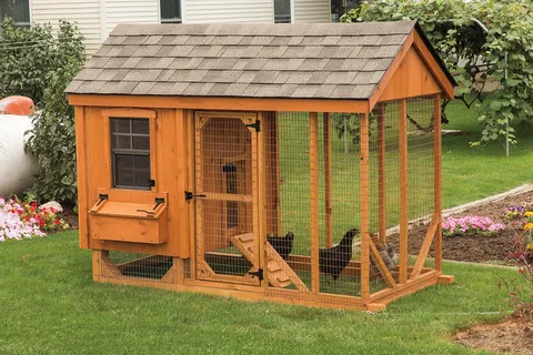 Chicken Shed Builder