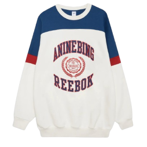 Anine Bing sweatshirt